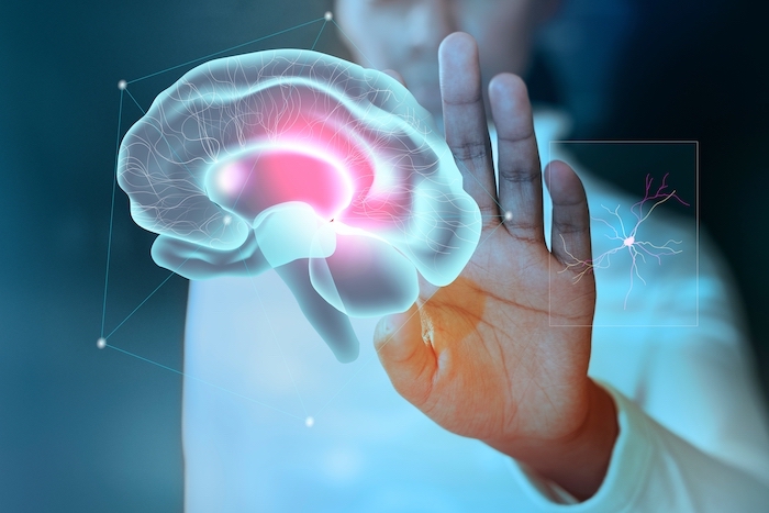 pessoa toca holograma de um cérebro em tela transparente. Imagem remete a saúde mental – 61% dos colaboradores de TI estão esgotados Rawpixel.com/ Freepik